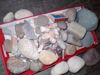 Морские камни для аквариума или декора