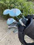 Conjunto de tacos de golfe