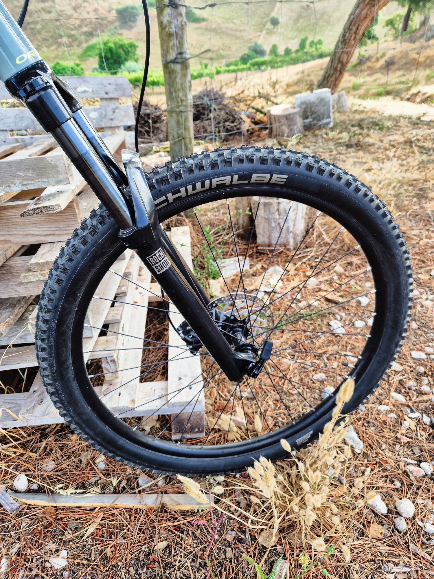 Orbea Laufey H30 2024