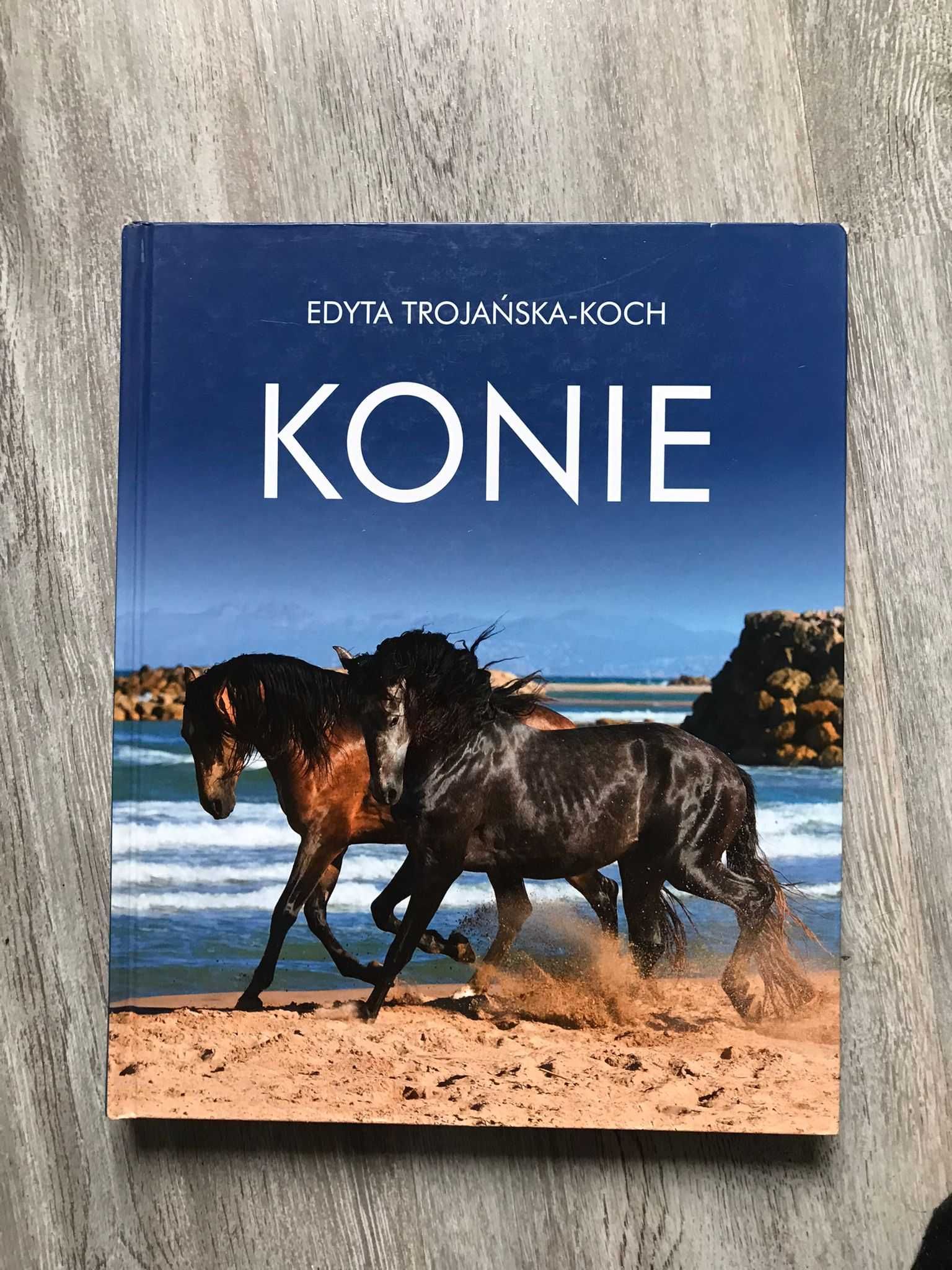 Konie- Edyta Trojańska-Koch     Bogaty wybór zdjęć koni