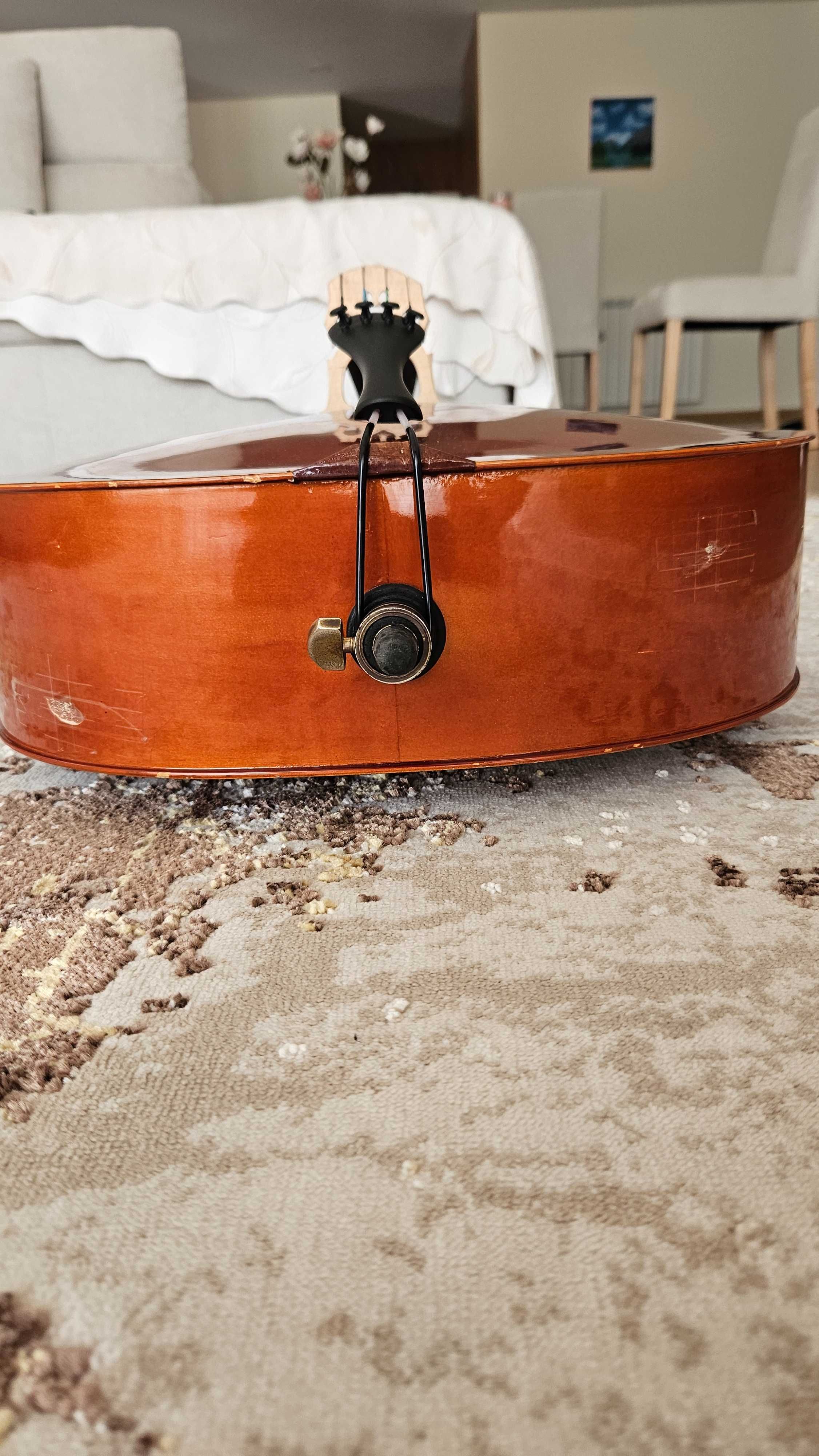 Violoncelo CERVINI 3/4