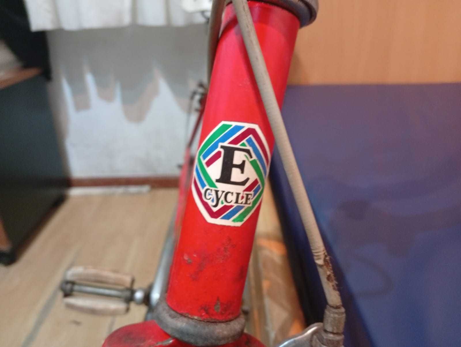 Bicicleta Esmaltina