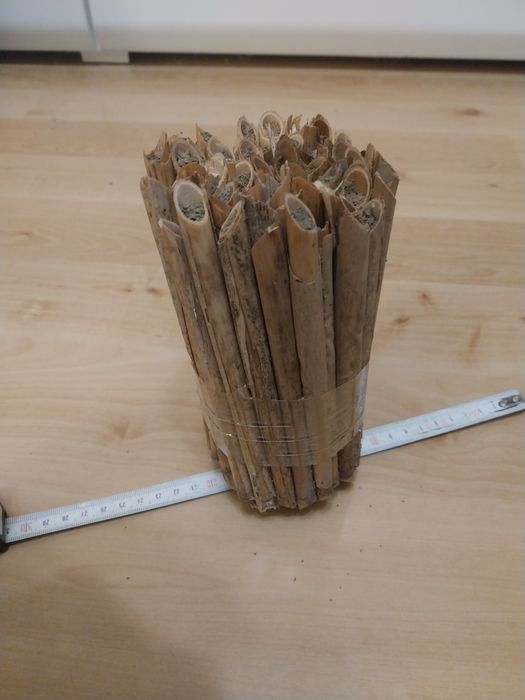 Pszczoła, zapylacz, murarka ogrodowa - kokony