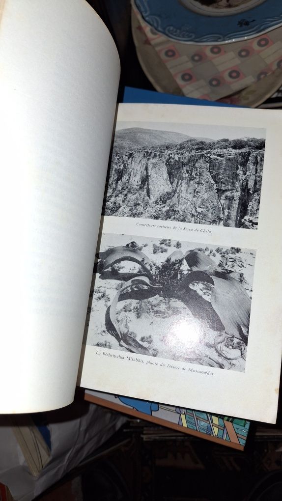 Angola monografia Norberto Gonzaga 1968 colonias ultramar