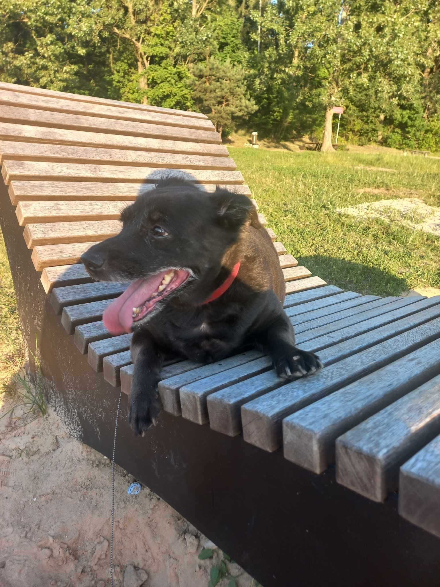 Tajfun szuka domu
