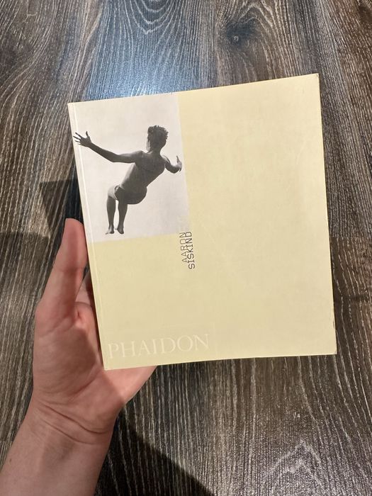 Книга - Aaron Siskind (Phaidon 55's)