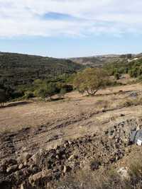 Terreno rustico Murganhal/Terrugem