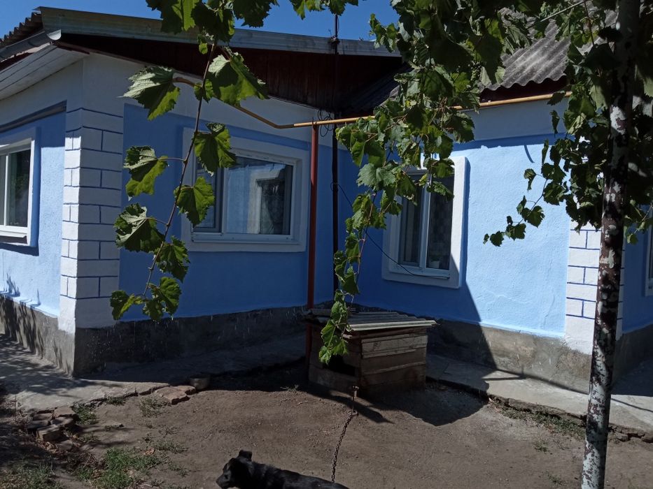 Продається будинок в Одеській обл.