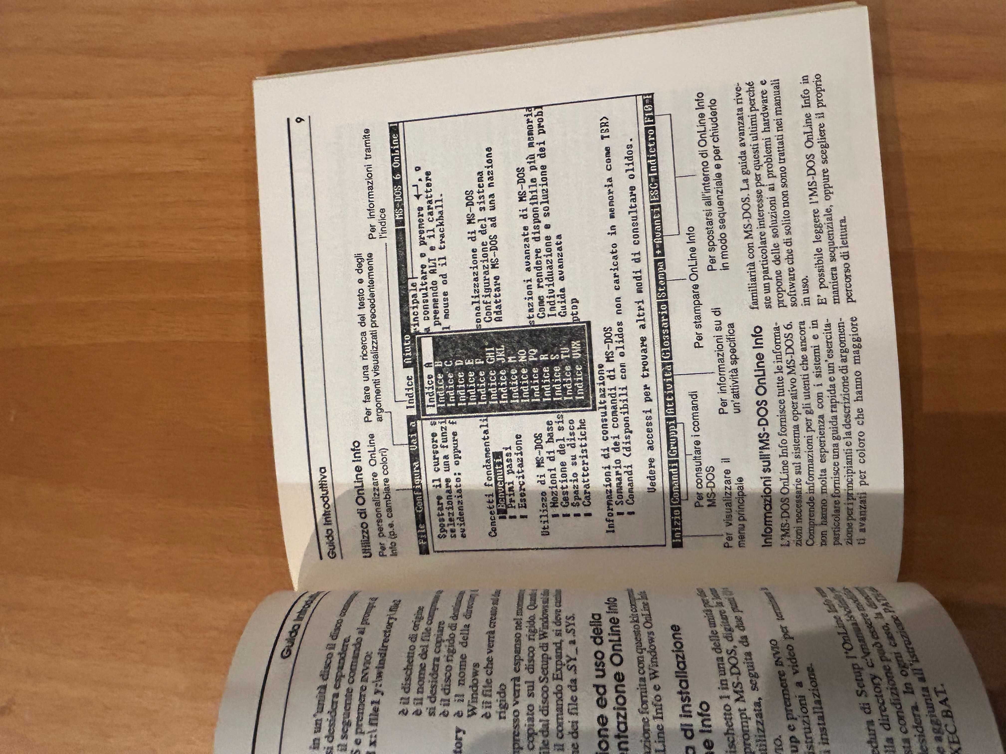 Microsoft MsDos 6, Windows 3.1 Olivetti