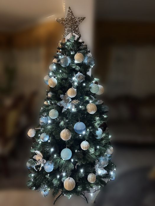 Ялинка лита