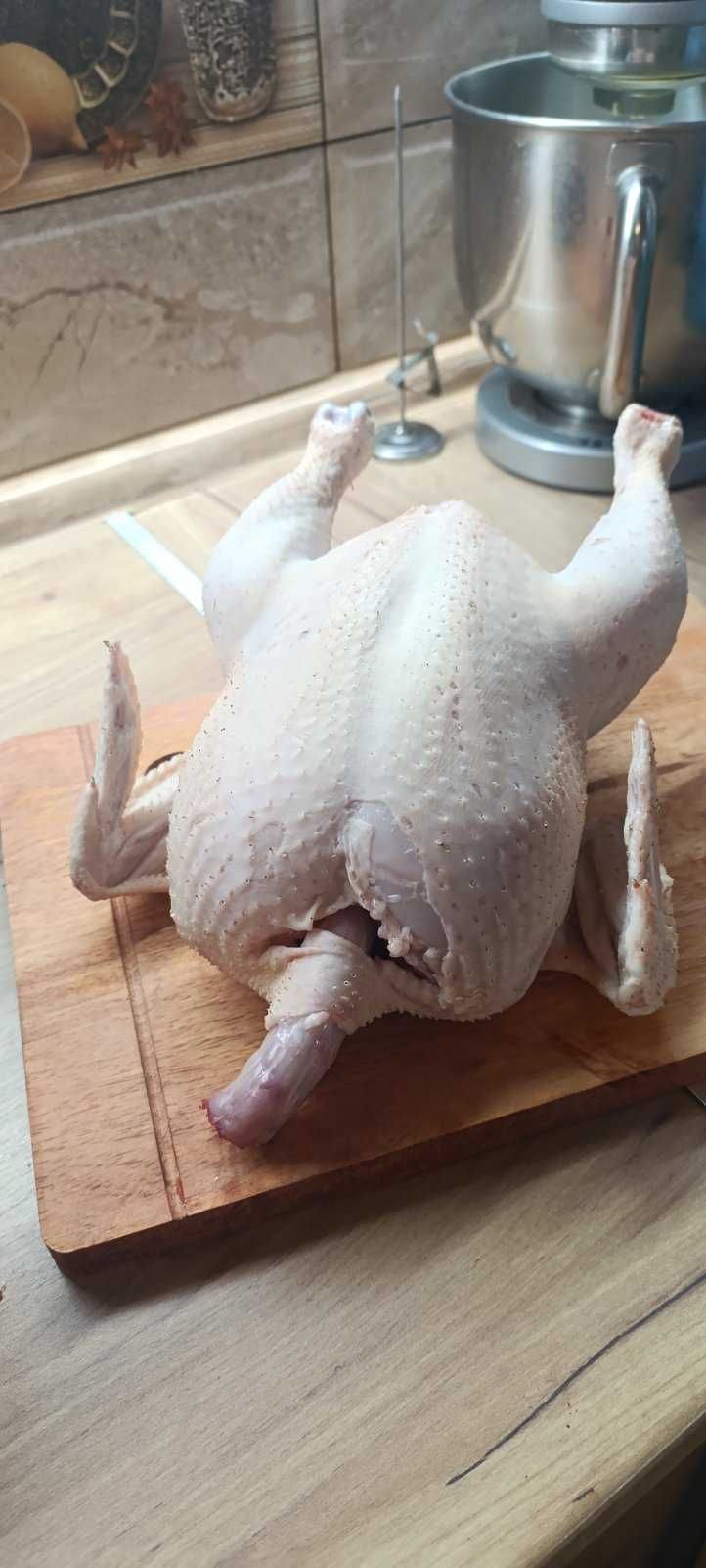 Мясо домашніх бройлерів