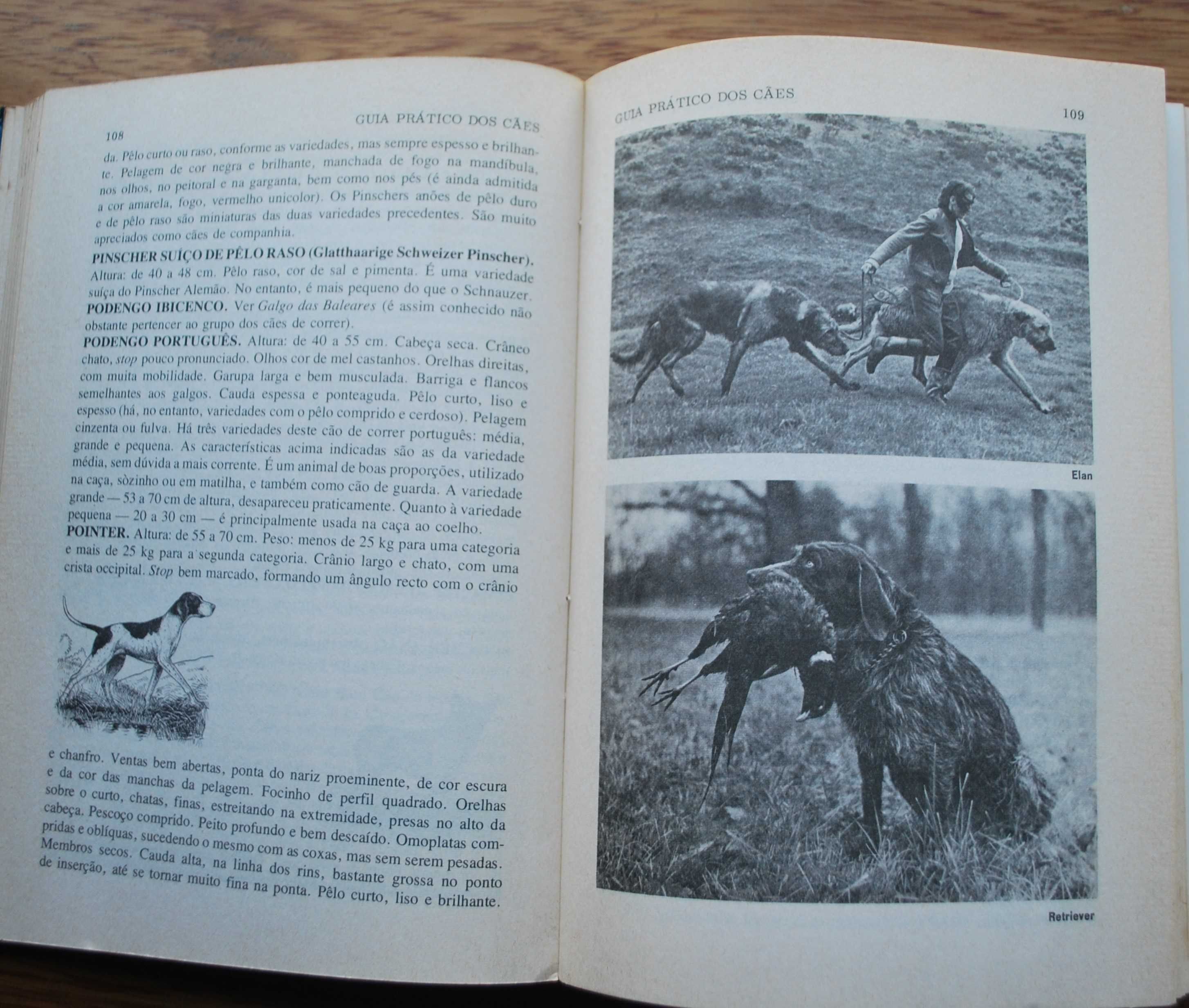 Guia Prático dos Cães de Jacques Freydiger