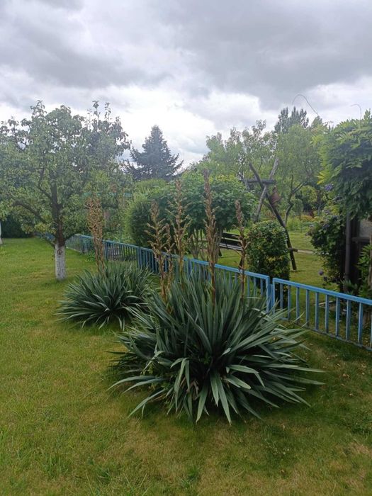 Działka rekreacyjna ROD ,,Wizun"