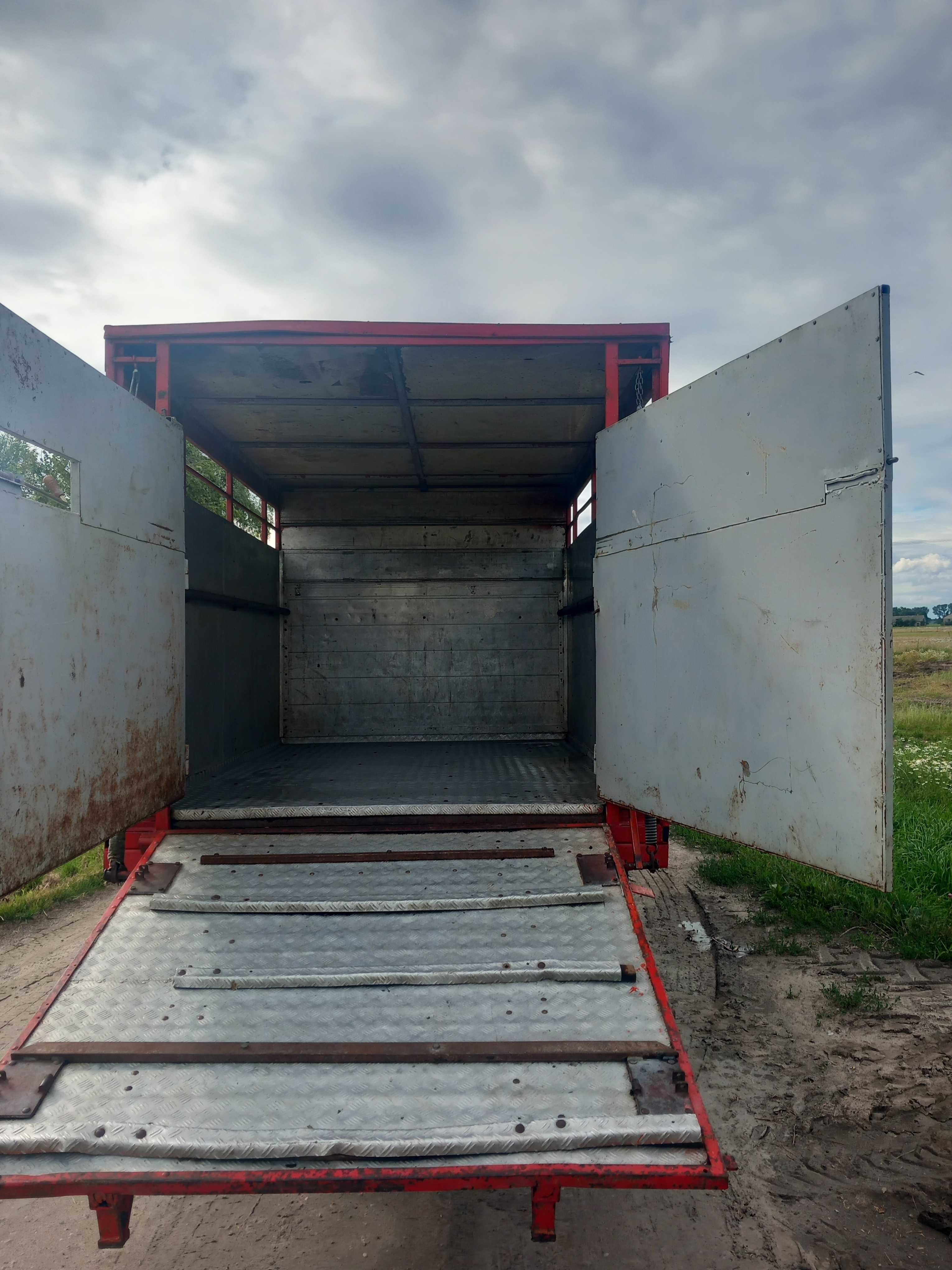 Iveco Daily do przewozu zwierzat