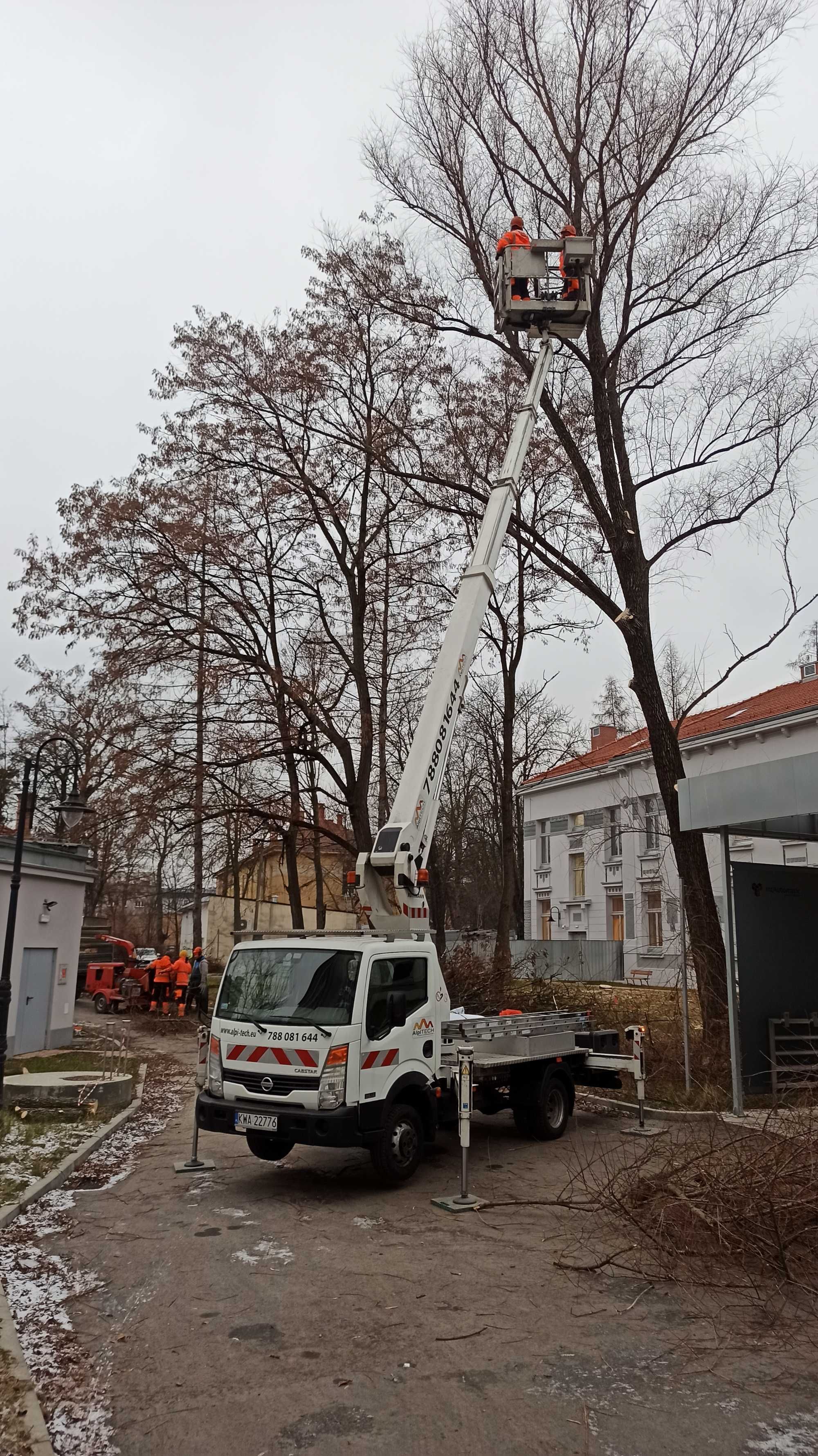 Wycinka drzew, Pielęgnacja drzew, Frezowanie pni, Usługi rębakiem