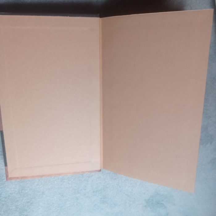 Книга Органист Эрленд Лу Петтер Амундсен 2009