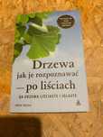 Drzewa jak je rozpoznawać po liściach