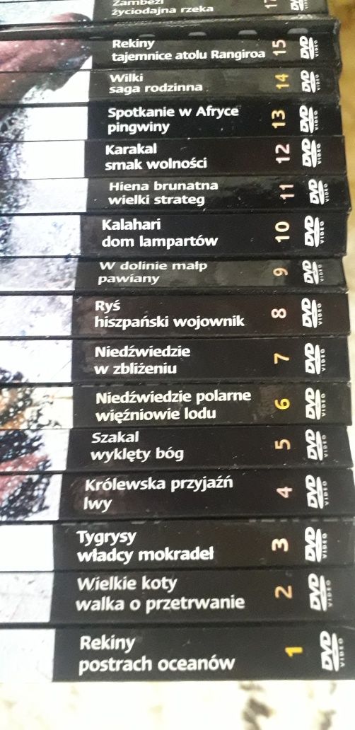 Filmy przyrodnicze Drapieżniki z bliska Zestaw 26 płyt dvd