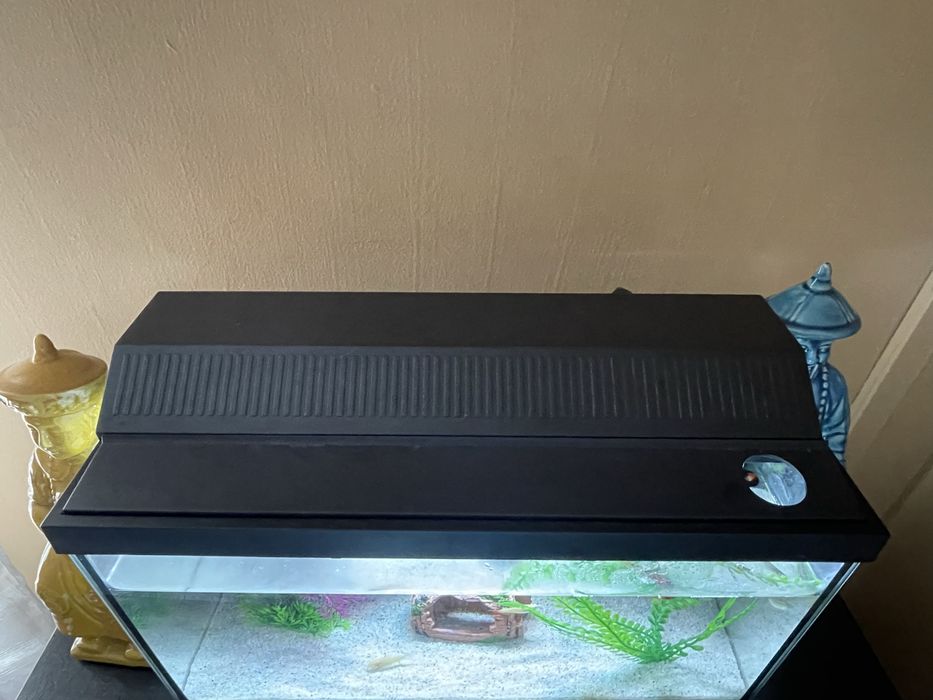 Aquario completo