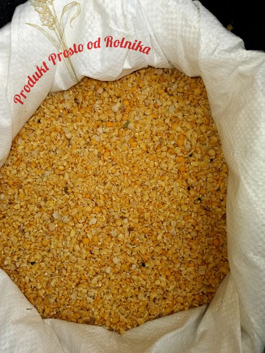Karma Groch drobny opakowanie 20kg wysyłka natychmiast Inpost