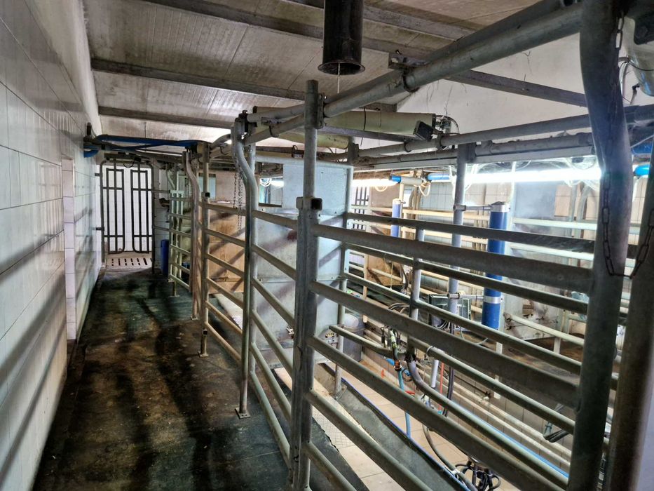 DeLaval Hala Udojowa Auto tandem 2x3 Stacje Żywienia