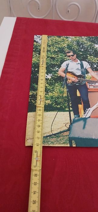 Poster The Vamps/Like Us, novo