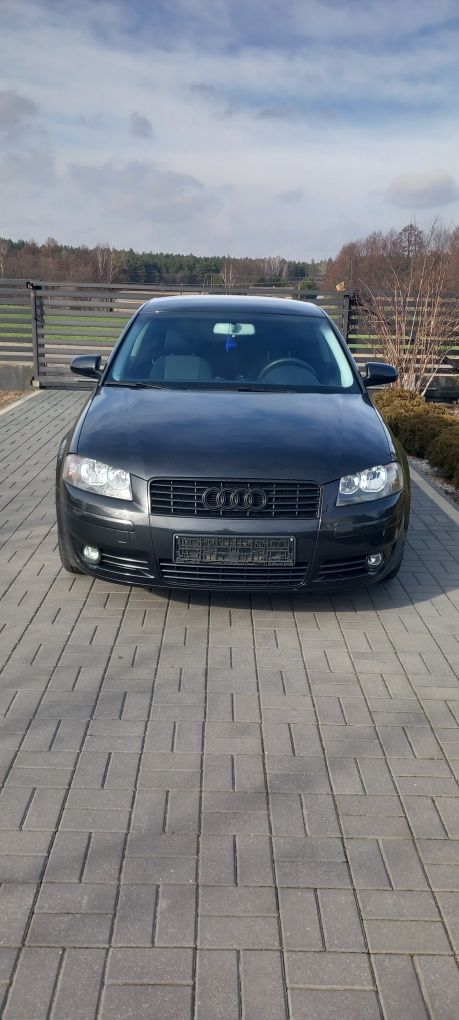 Audi a3 8p 1.6mpi 2005r