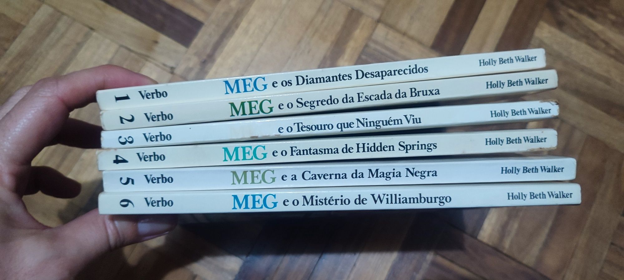 6 livros da coleção Meg