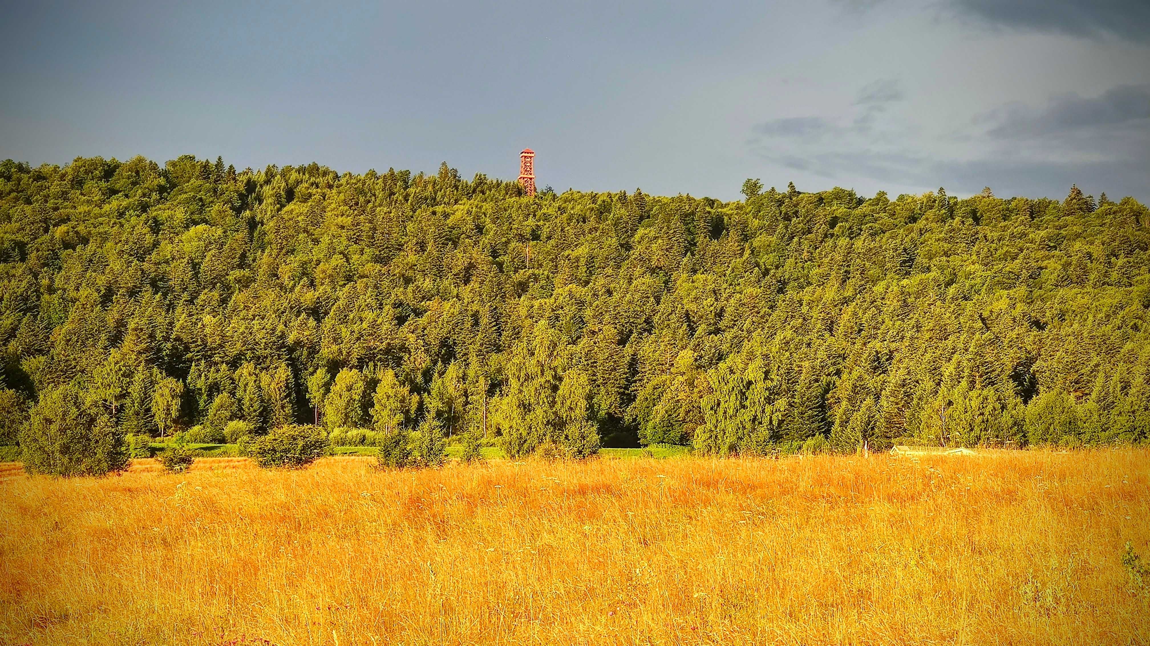 Nowoczesne Domki Bieszczady, Solina, Polańczyk, Ustrzyki Dolne, Balia