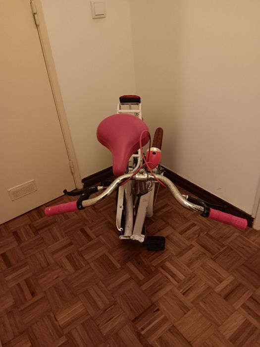 Bicicleta desdobrável. Com farol frente e trás