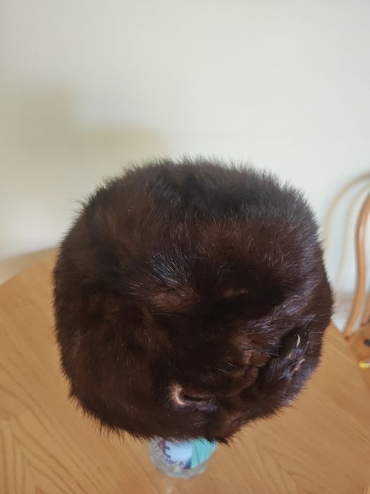 Czapka futrzana damska Toczek z norek