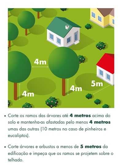 Limpeza de terrenos com moto-roçadora