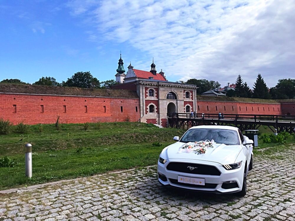 Auta do ślubu MUSTANG, LEXUS 450h wolne terminy 2024 cena od 0 ZŁ