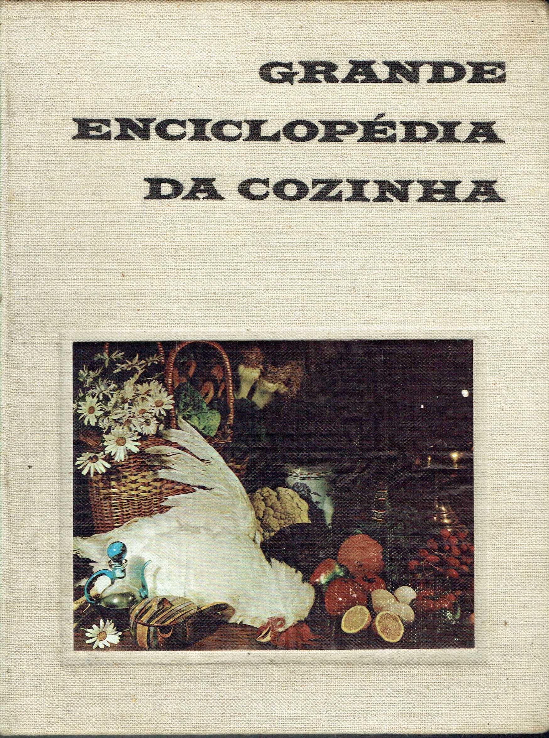 7465

Grande Enciclopédia da Cozinha - 2 vols
Maria de Lourdes Modesto