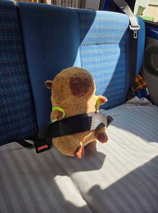 Duża Kapibara Maskotka Pluszak Z Plecakiem Borsuk Zabawka Dla Dzieci