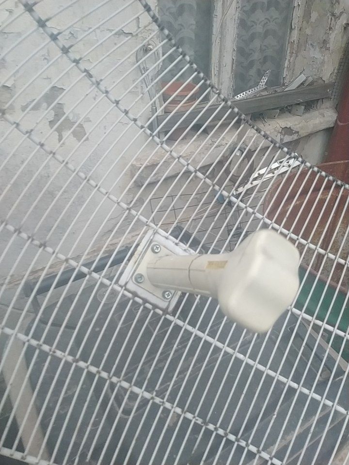 Antena internetowa