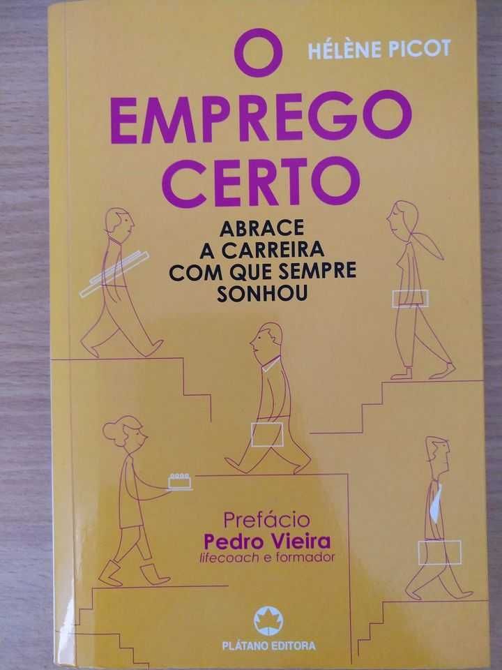 O Emprego Certo - Hélène Picot