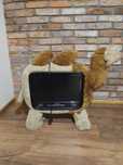 Telewizor hannspree