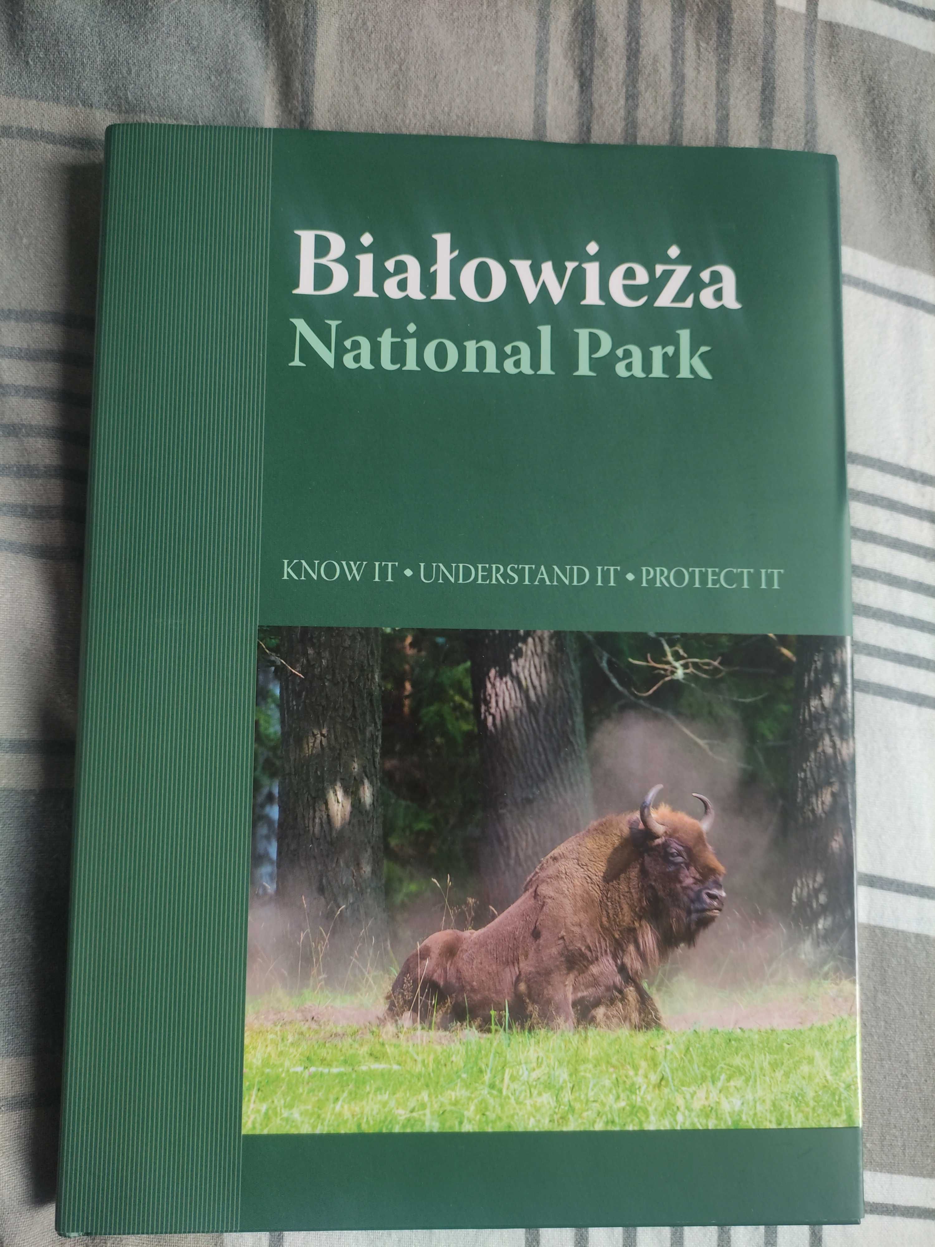 Białowieża National Park
