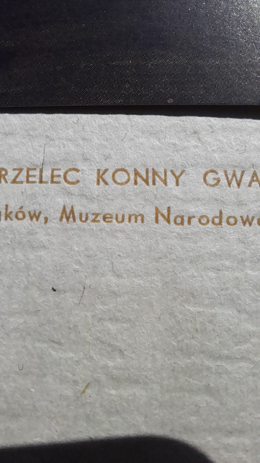 Obraz Piotr Michałowski "Strzelec Konny Gwardii"