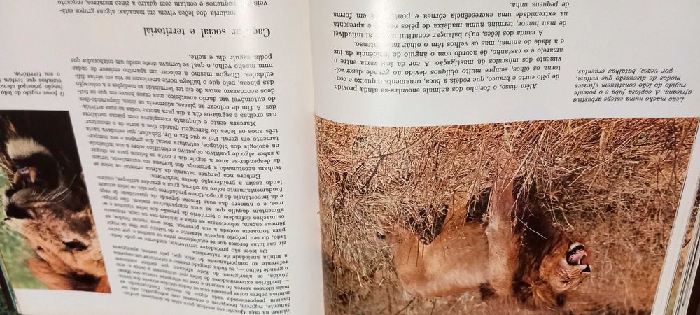 A Fauna 10 livros !!!