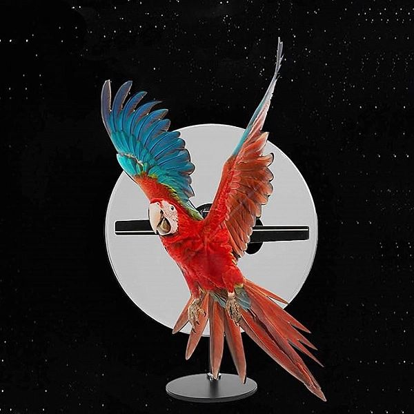 Projektor Holograficzny 3D Braders - Nowoczesne Wyświetlanie Hologramó