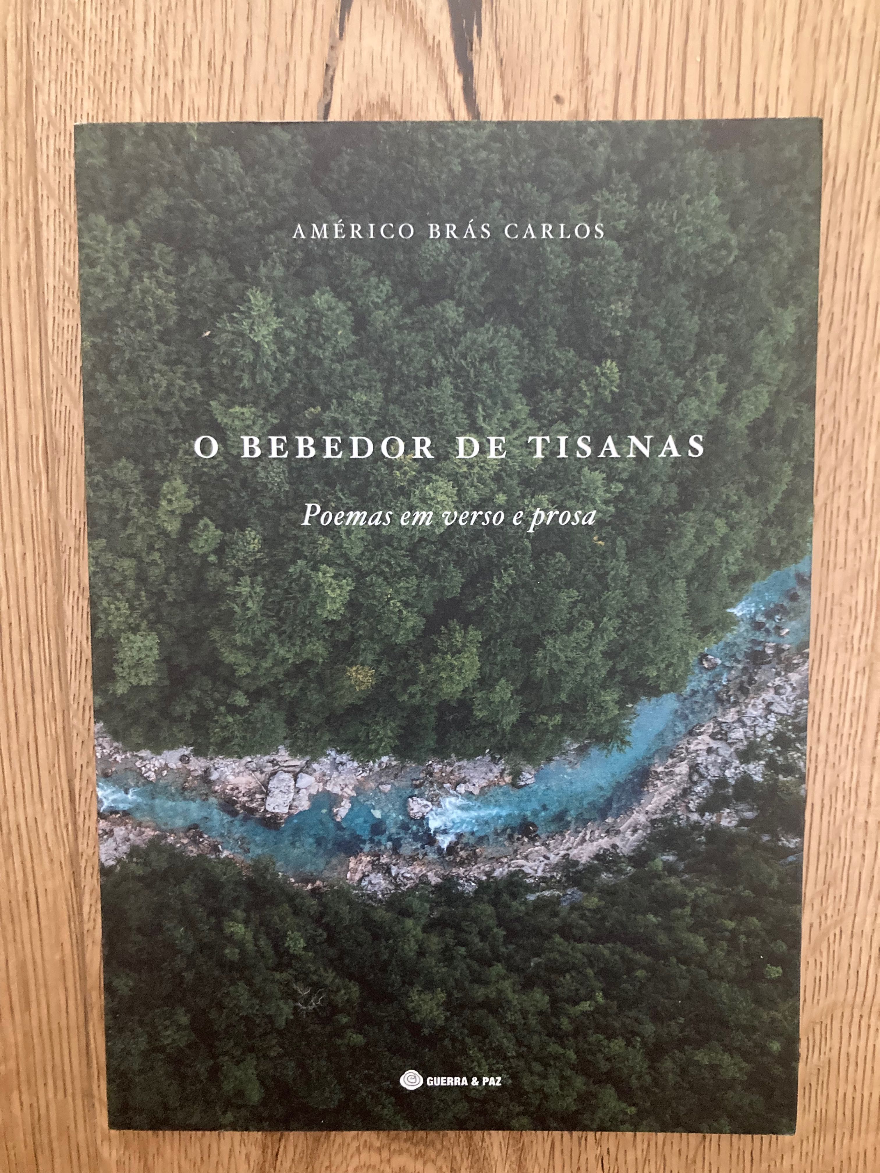 O bebedor de tisanas, de Américo Brás Carlos
