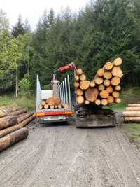 Usługa - transport drewna na terenie Polski i Niemiec