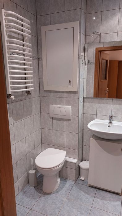 Mieszkanie do wynajęcia