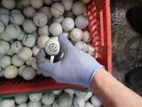 Bolas de golfe "620"