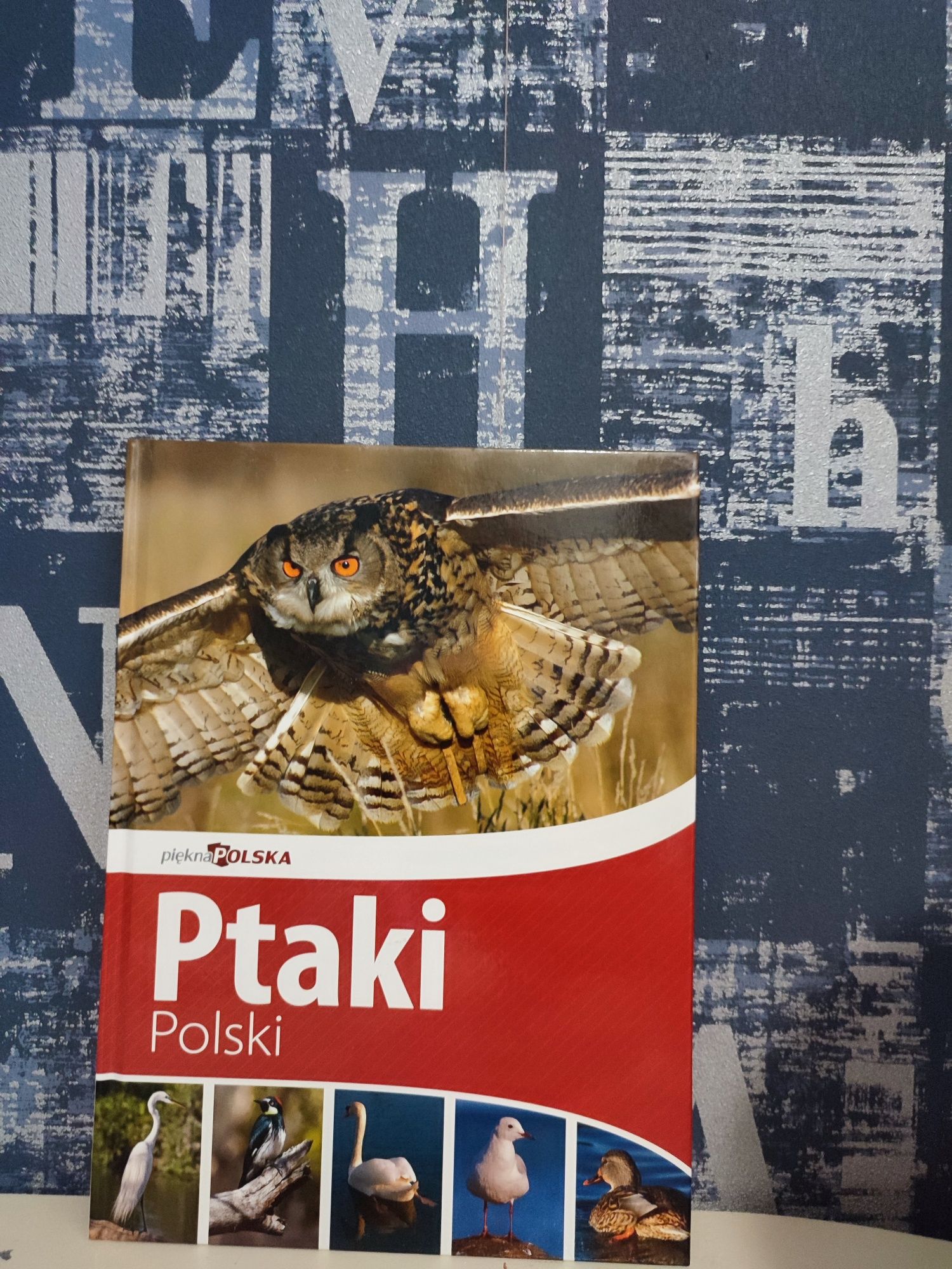 Książka Ptaki polski