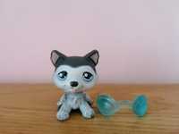 Littlest pet shop lps unikatowy piesek husky