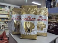 Сухий корм Royal Canin для собак 1,5кг