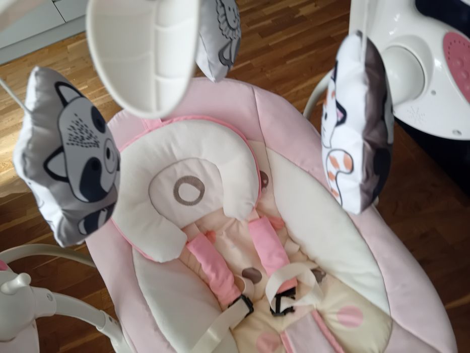 Bujaczek Lionelo Robin